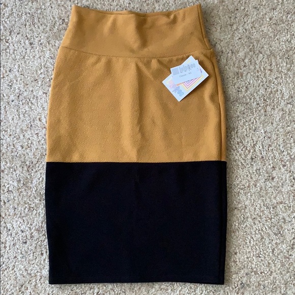 Lularoe the Cassie skirt - Picture 1 of 4